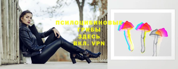 гидра Надым