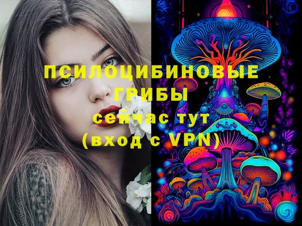 соль курить ск Алзамай