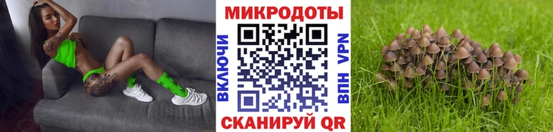 Псилоцибиновые грибы мицелий Ликино-Дулёво