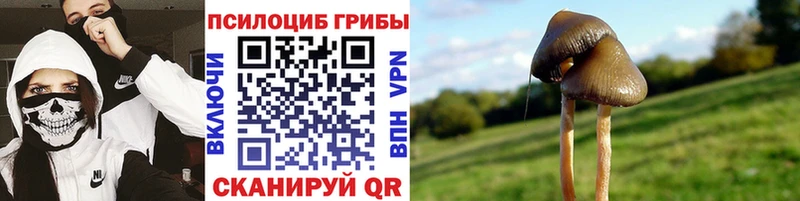 Галлюциногенные грибы мухоморы где купить наркотик Ликино-Дулёво