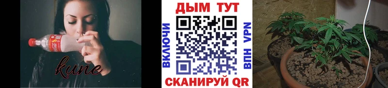 Конопля тримм  где купить наркотик  мега как зайти  Ликино-Дулёво 